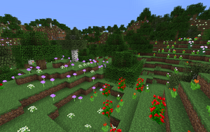 Floresta de Flores