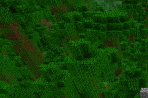 Selva