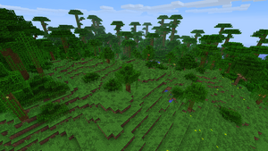 Margem da Selva