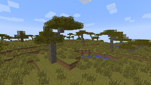 Savana