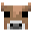 Brown Mushroom